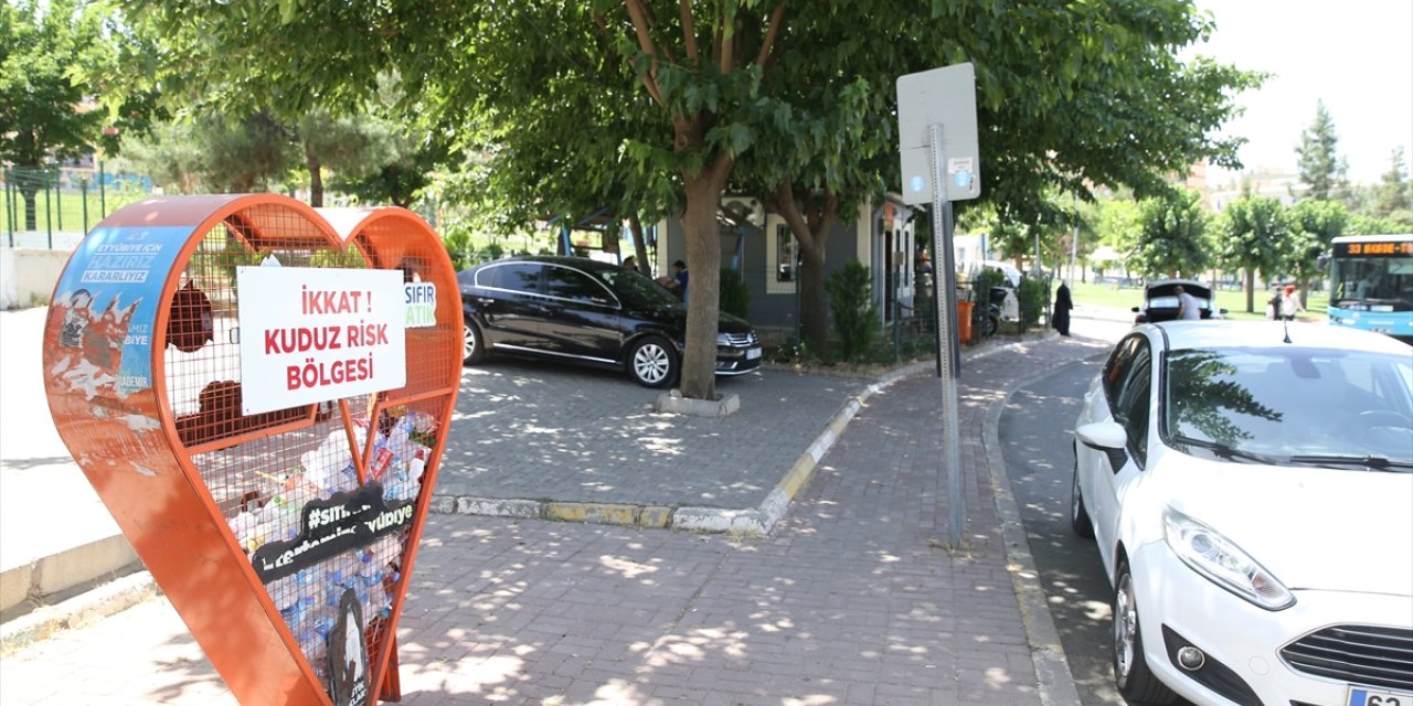 Şanlıurfa'da iki mahalledeki kuduz karantinası devam ediyor