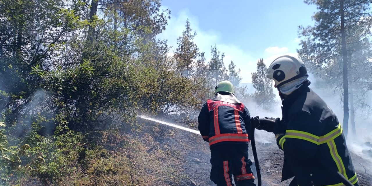 Tokat'ta ormanlık alanda çıkan yangın kontrol altına alınmaya çalışılıyor