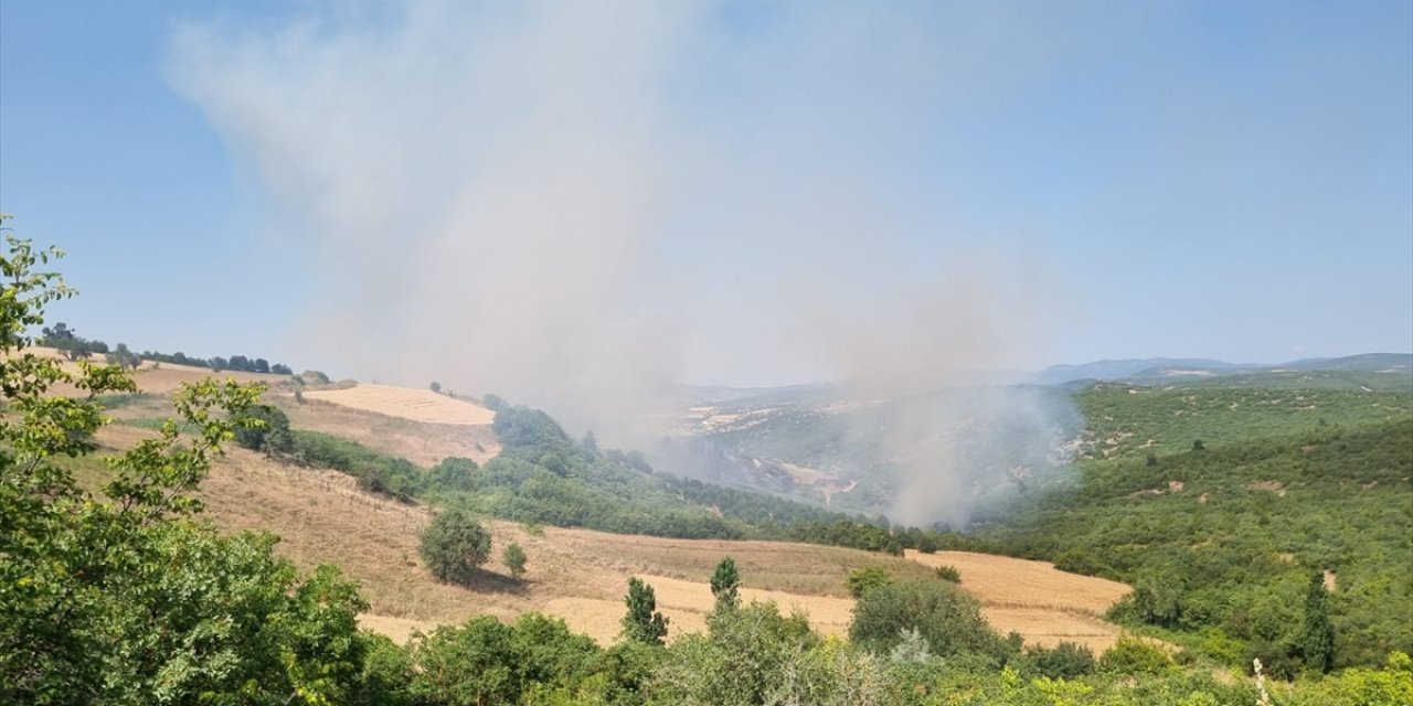 Balıkesir'de çıkan orman yangınına karadan ve havadan müdahale ediliyor