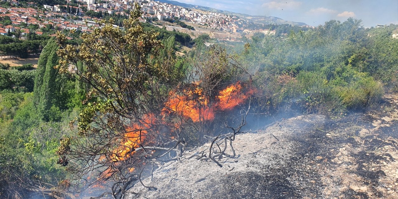Manisa'da tarım arazisinde çıkan yangın söndürüldü