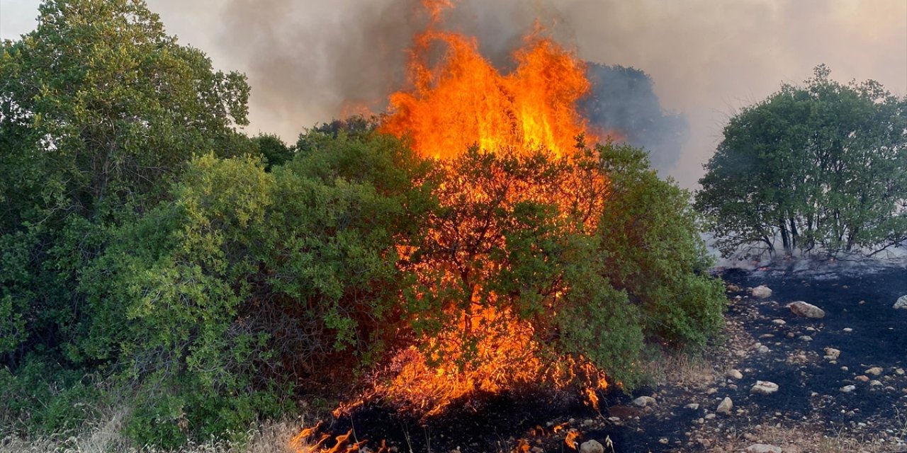 Gaziantep'te fıstık ve zeytin bahçelerinde çıkan yangına müdahale ediliyor