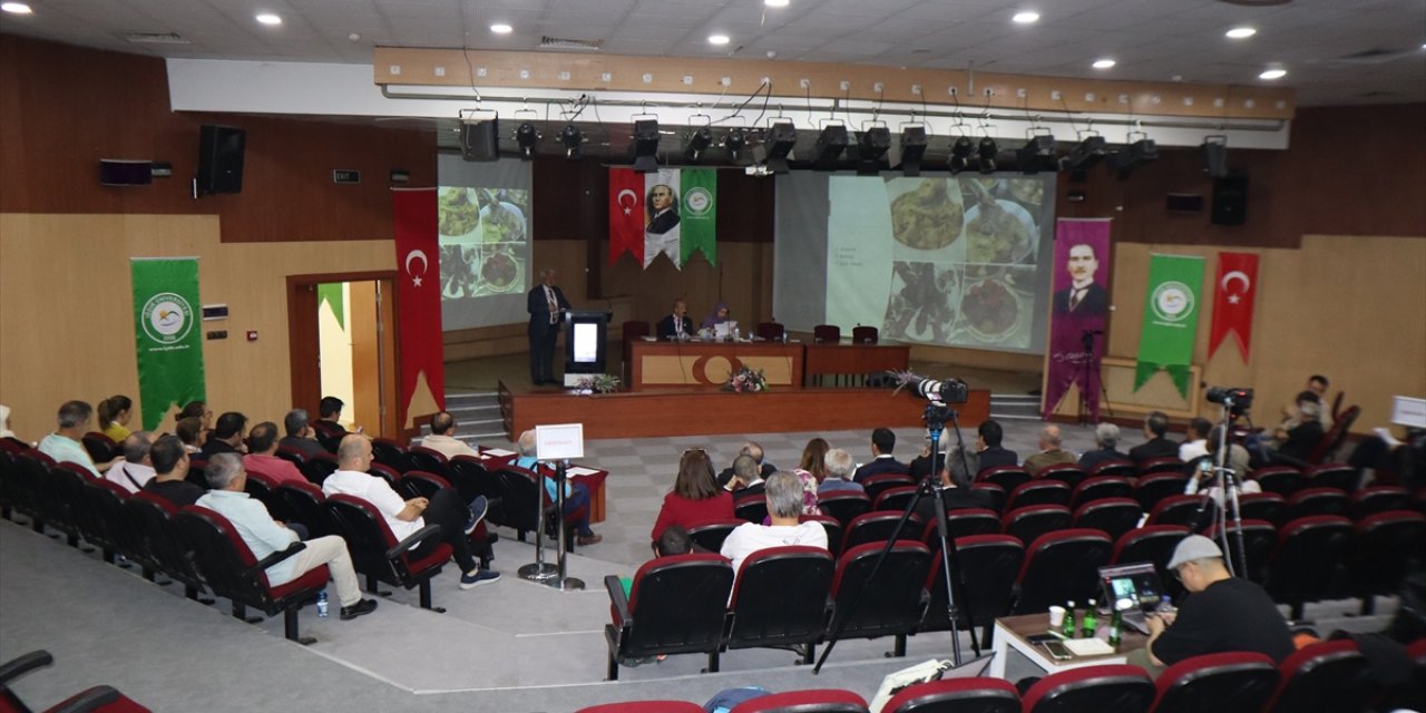 Iğdır'da 3 ülkeden 30 bilim insanının katılımıyla Nuh'un Gemisi konferansı düzenlendi