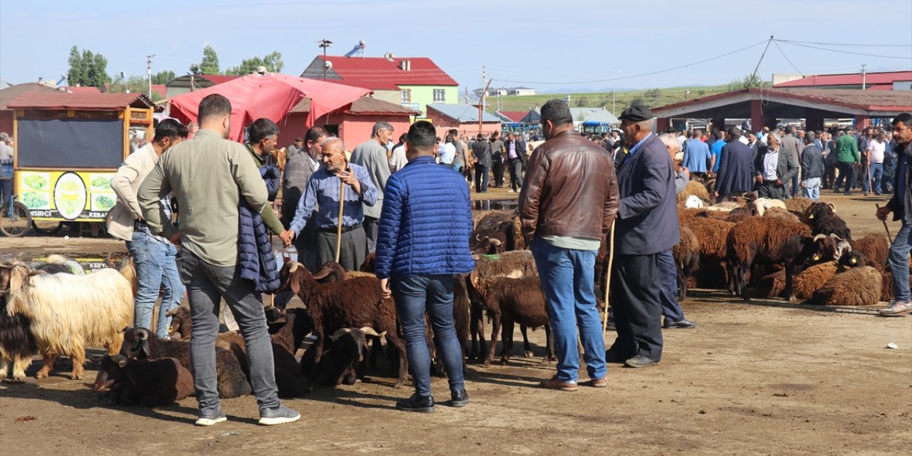 Ağrı Hayvan Borsası'nda Kurban Bayramı yoğunluğu yaşanıyor