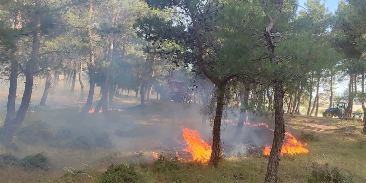 Çanakkale'de ormanlık alanda çıkan yangına müdahale ediliyor