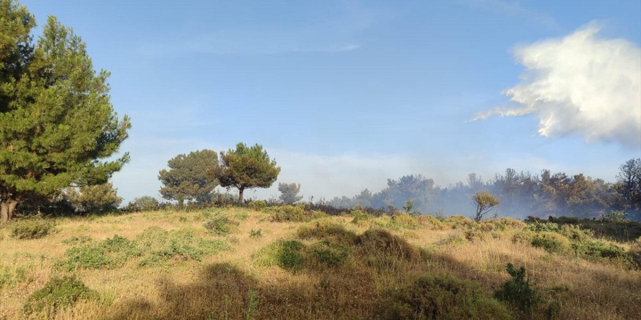 GÜNCELLEME - Çanakkale'de ormanlık alanda çıkan yangın kontrol altına alındı