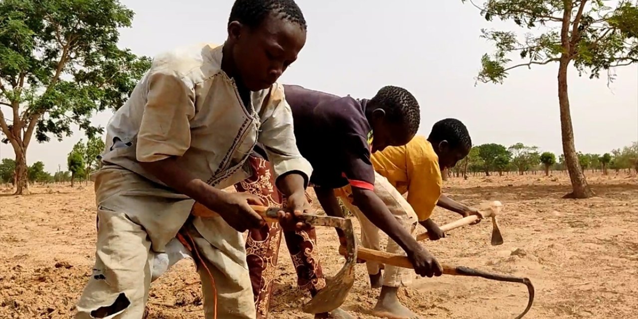 Nijerya'da medreseye gönderilen çocuklar geçimlerini sağlamak için tarlada çalışıyor
