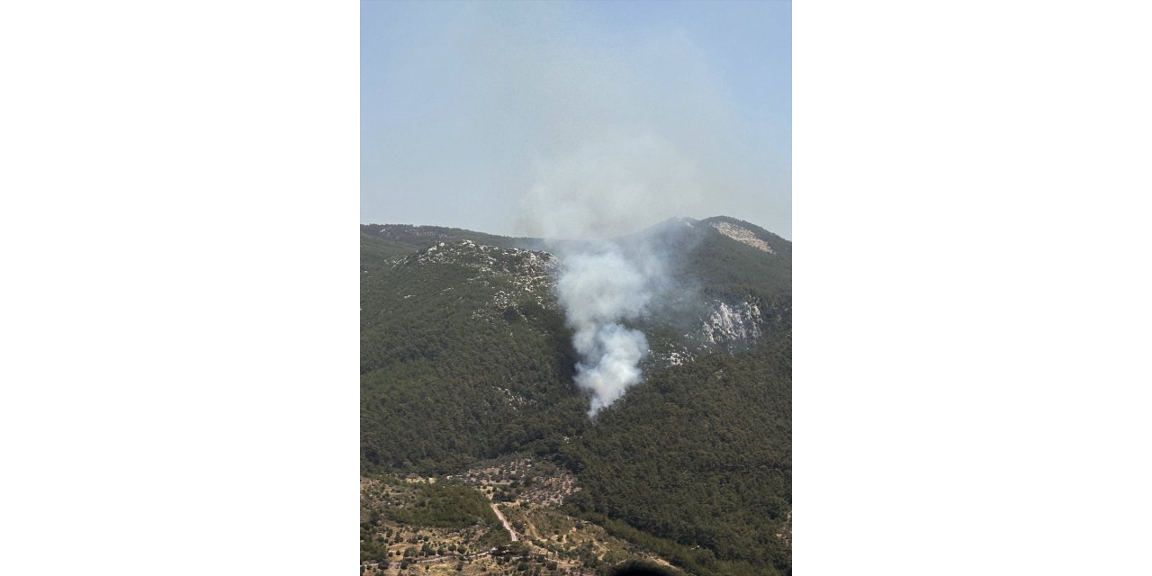 Muğla'nın Milas ilçesinde orman yangını çıktı