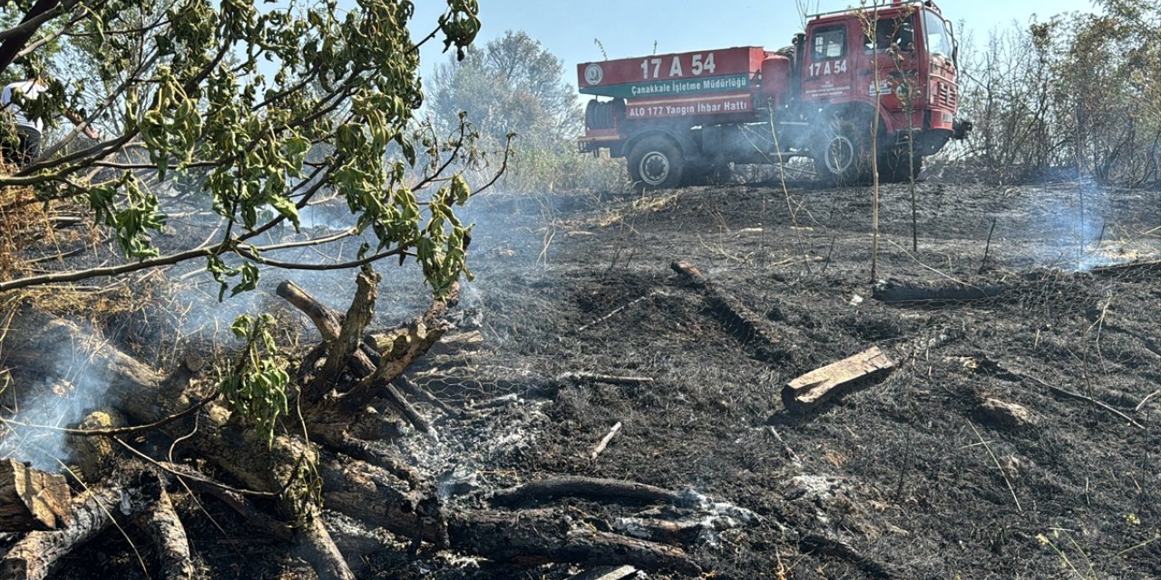 Çanakkale'de köyde otluk alanda çıkan yangın evlere sıçramadan söndürüldü