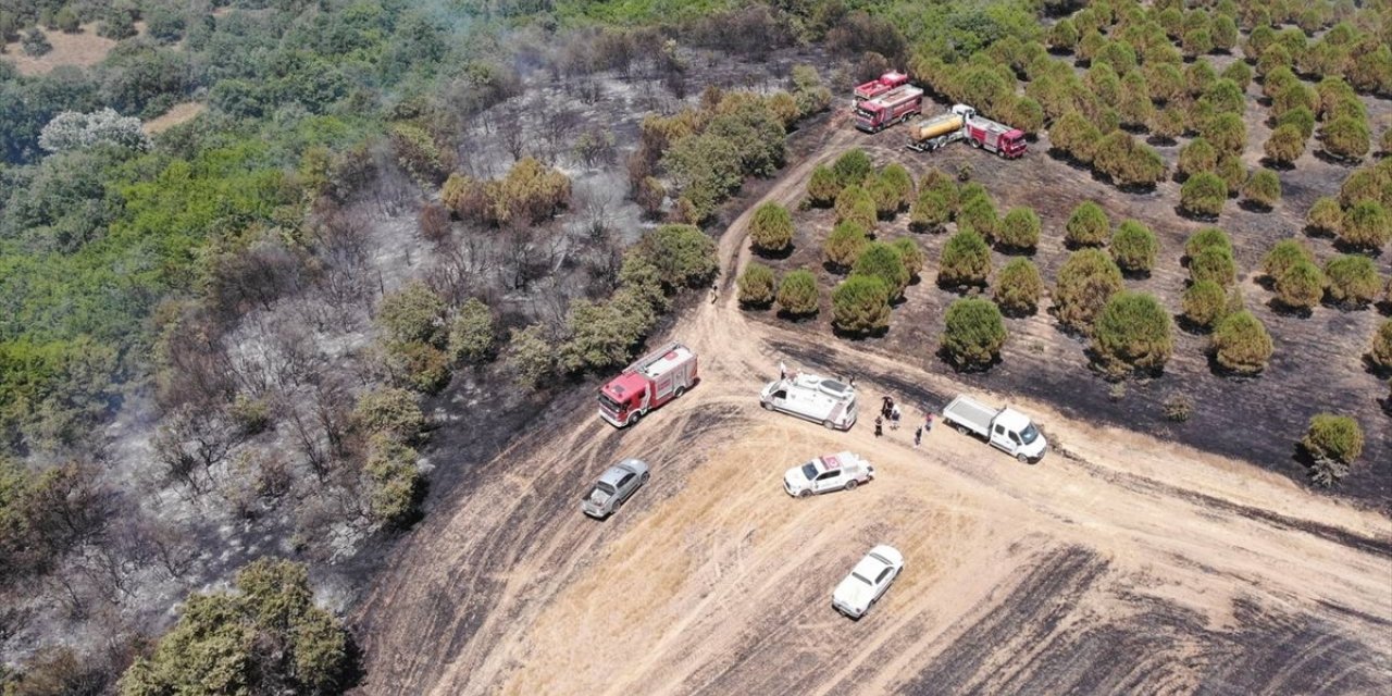 Silivri'de çıkan yangın tarım arazisi ve ormanlık alana zarar verdi