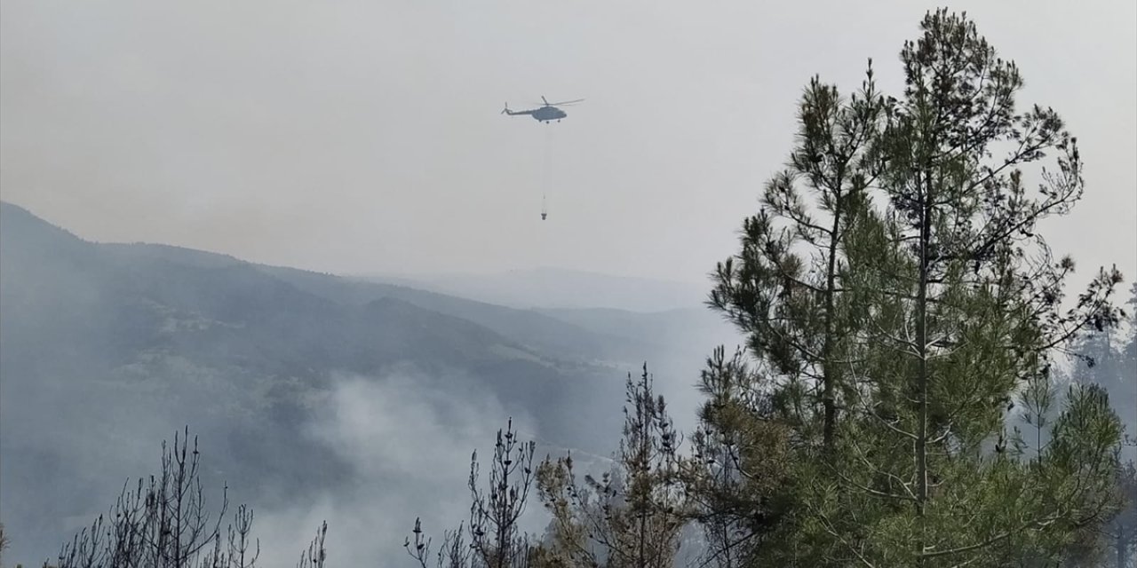 Sinop'ta çıkan orman yangınına havadan ve karadan müdahale ediliyor