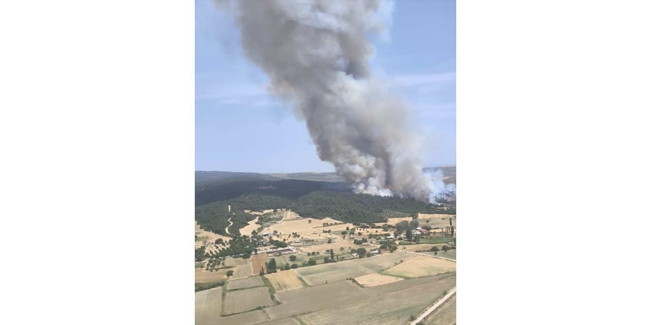 GÜNCELLEME - Çanakkale'de ormanlık alanda çıkan yangına müdahale ediliyor