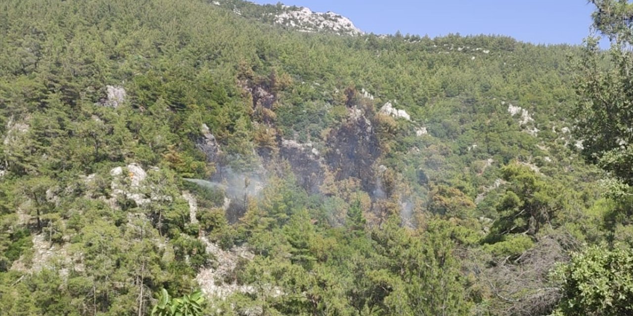 GÜNCELLEME - Muğla'nın Milas ilçesinde çıkan orman yangını söndürüldü