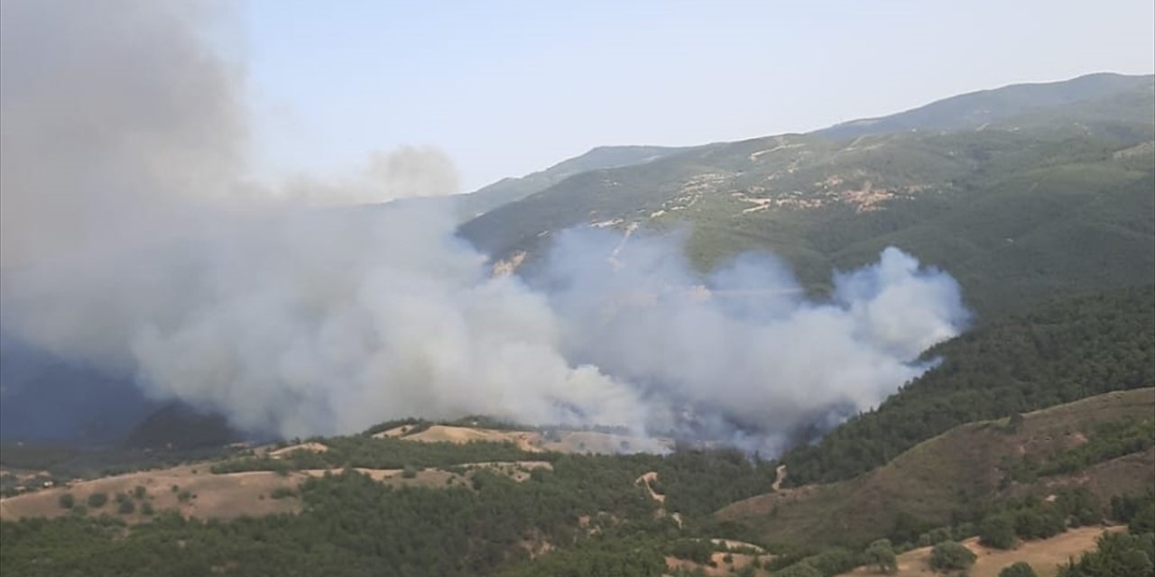 Kütahya'da ormanlık alanda çıkan yangına müdahale ediliyor