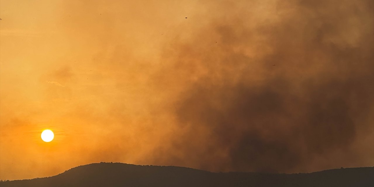 GÜNCELLEME - Uşak'ta tarım arazisinde çıkan yangın ormana sıçradı