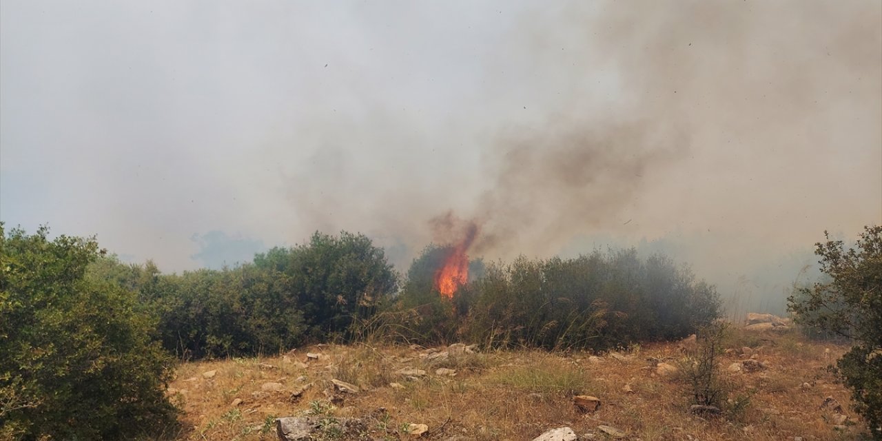 Manisa'nın Kula ilçesinde çıkan orman yangınına müdahale ediliyor