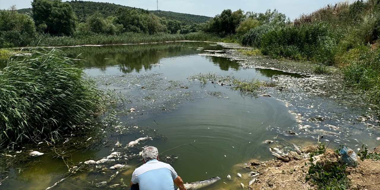 Bursa'da çaydaki balık ölümleriyle ilgili inceleme başlatıldı
