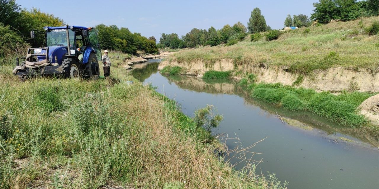 Osmaniye'de çayda balık ölümleri üzerine inceleme başlatıldı