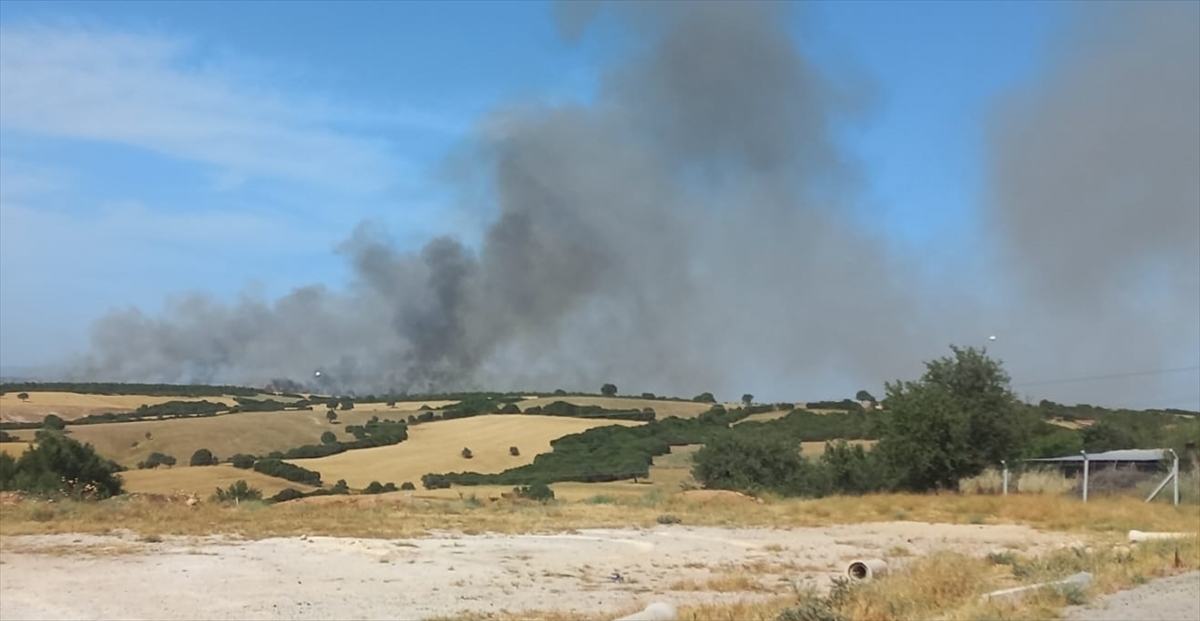 Çanakkale Ezine'de ormanlık alanda etkili olan yangına müdahale ediliyor