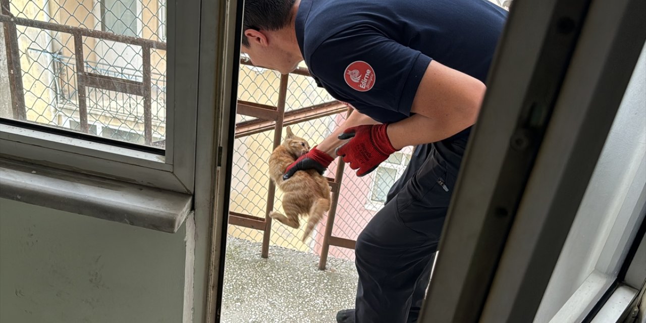 Edirne'de kullanılmayan binanın yangın merdiveninde mahsur kalan kedi yavrusu kurtarıldı