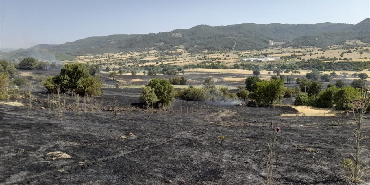 GÜNCELLEME - Manisa Demirci'de ormana sıçrayan yangın kontrol altına alındı