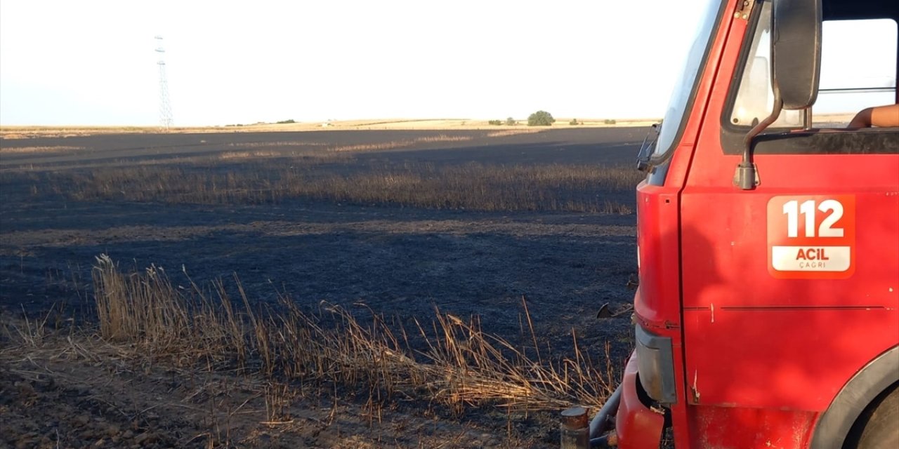 Edirne'de 105 dönüm buğday ekili alan yandı
