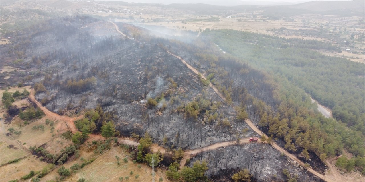 GÜNCELLEME 2 - Muğla'nın Milas ilçesinde çıkan orman yangını kontrol altına alındı