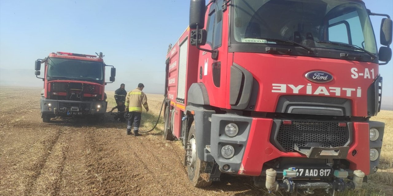 Mardin'de çıkan yangınlarda yaklaşık 5 bin dönüm ekili alan zarar gördü