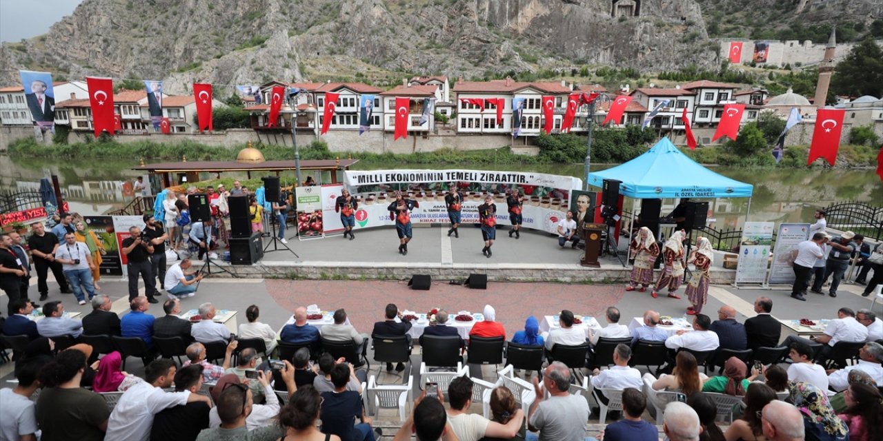 Amasya'da kiraz teşvik yarışması düzenlendi