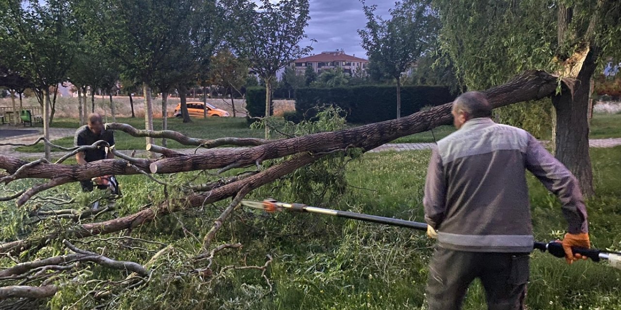 Çorum'da şiddetli rüzgar 3 ağacı devirdi, bir binanın çatısı uçtu