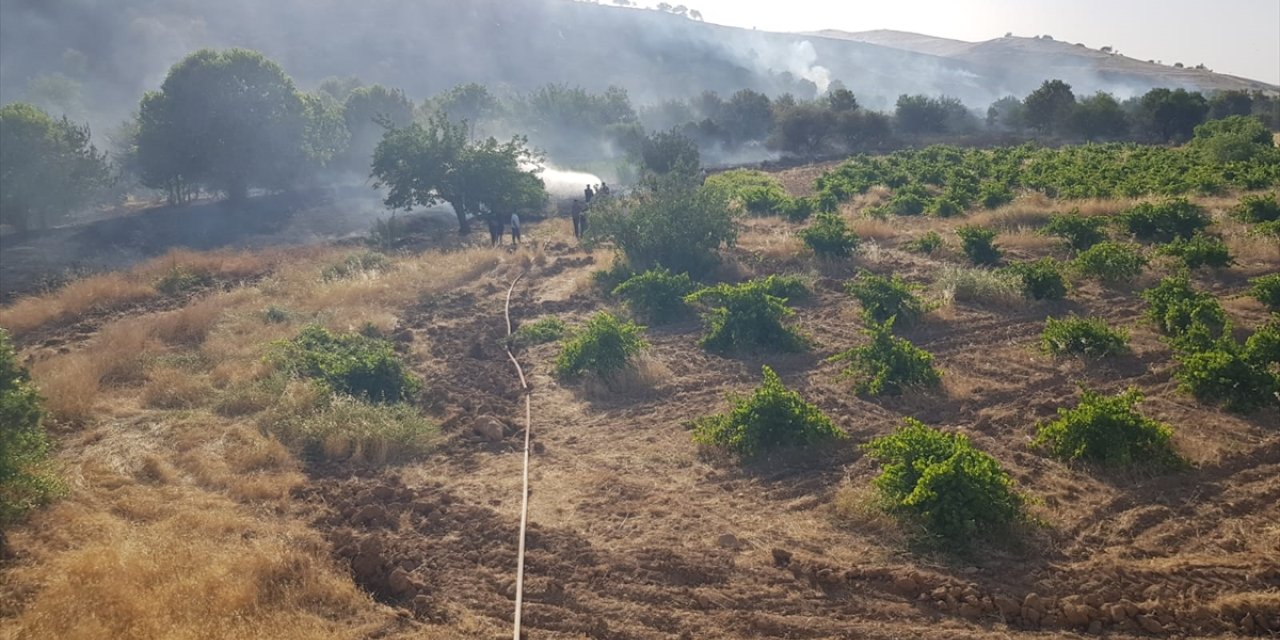 Mardin'de çıkan örtü yangınları söndürüldü