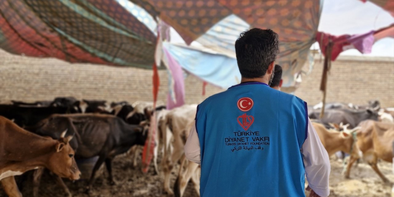 TDV, Afganistan’da 13 bin 300 hisse kurban eti dağıtacak