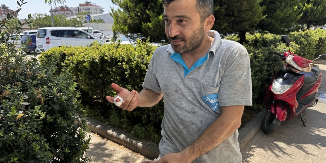 Antalya'da acemi kasaplar hastanelik oldu