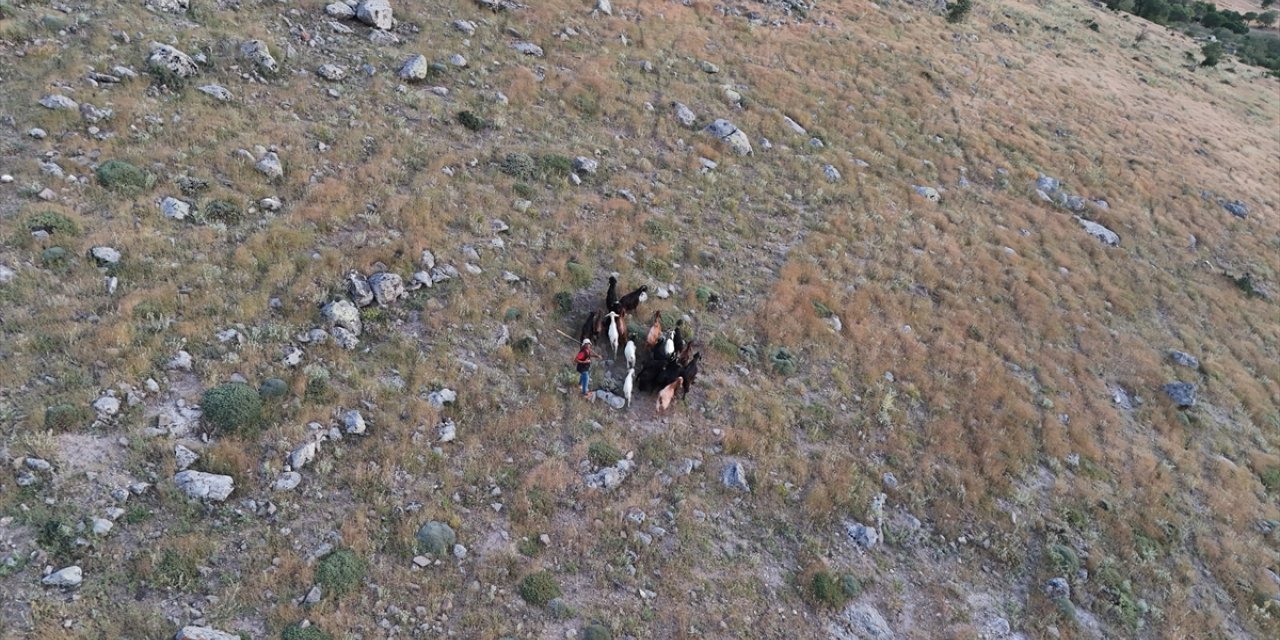Konya'da kayıp keçiler dronla bulundu