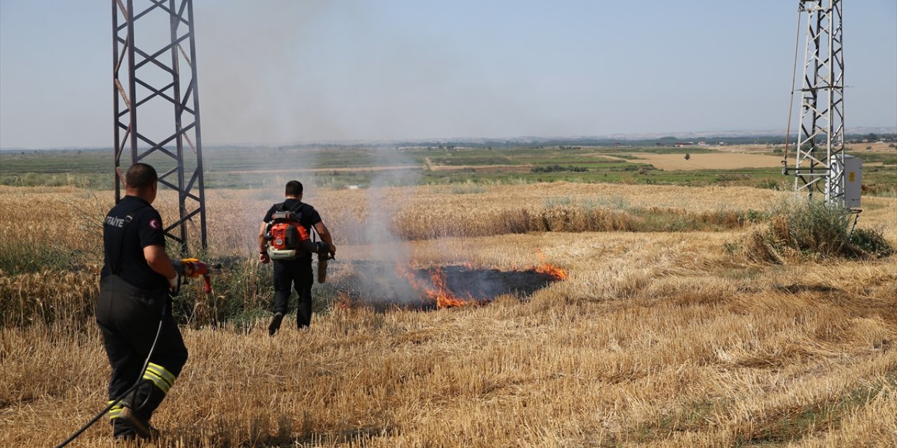 Edirne'de anız alanında başlayıp meyve bahçesine sıçraya yangın söndürüldü