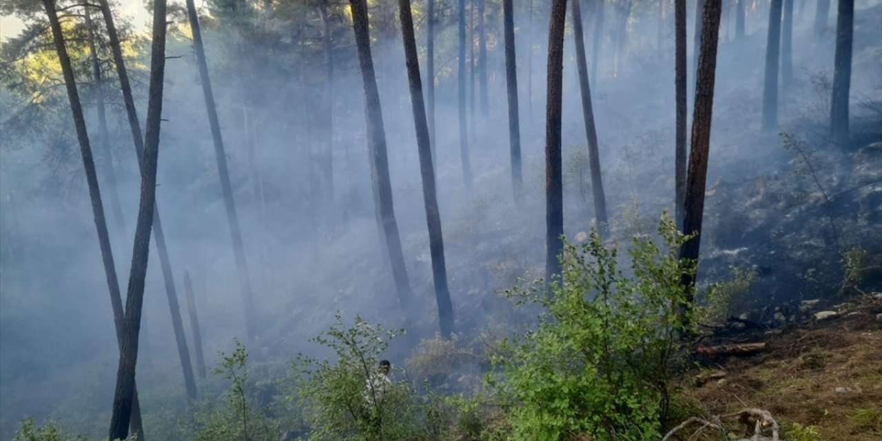 Burdur'da iki yerde çıkan orman yangını söndürüldü