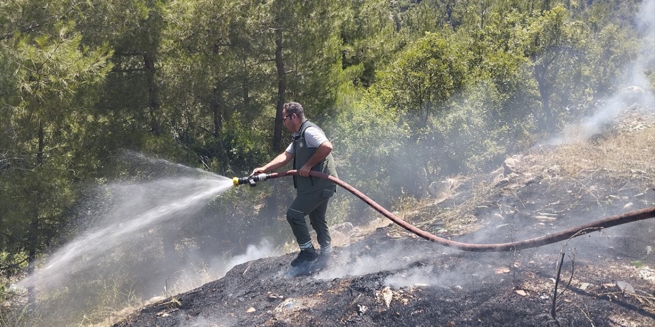 Adana'da çalılıktan ormana sıçrayan yangın kontrol altına alındı