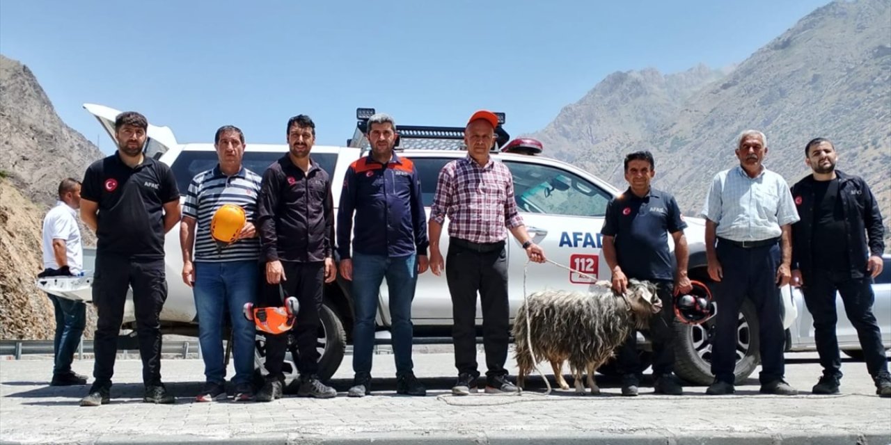 Hakkari'de kayalıklarda mahsur kalan kurbanlık keçi kurtarıldı