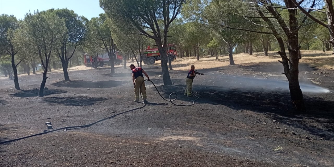 İzmir'in Karaburun ilçesinde orman yangını çıktı