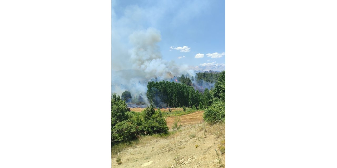 Adana'da çıkan orman yangınına müdahale ediliyor