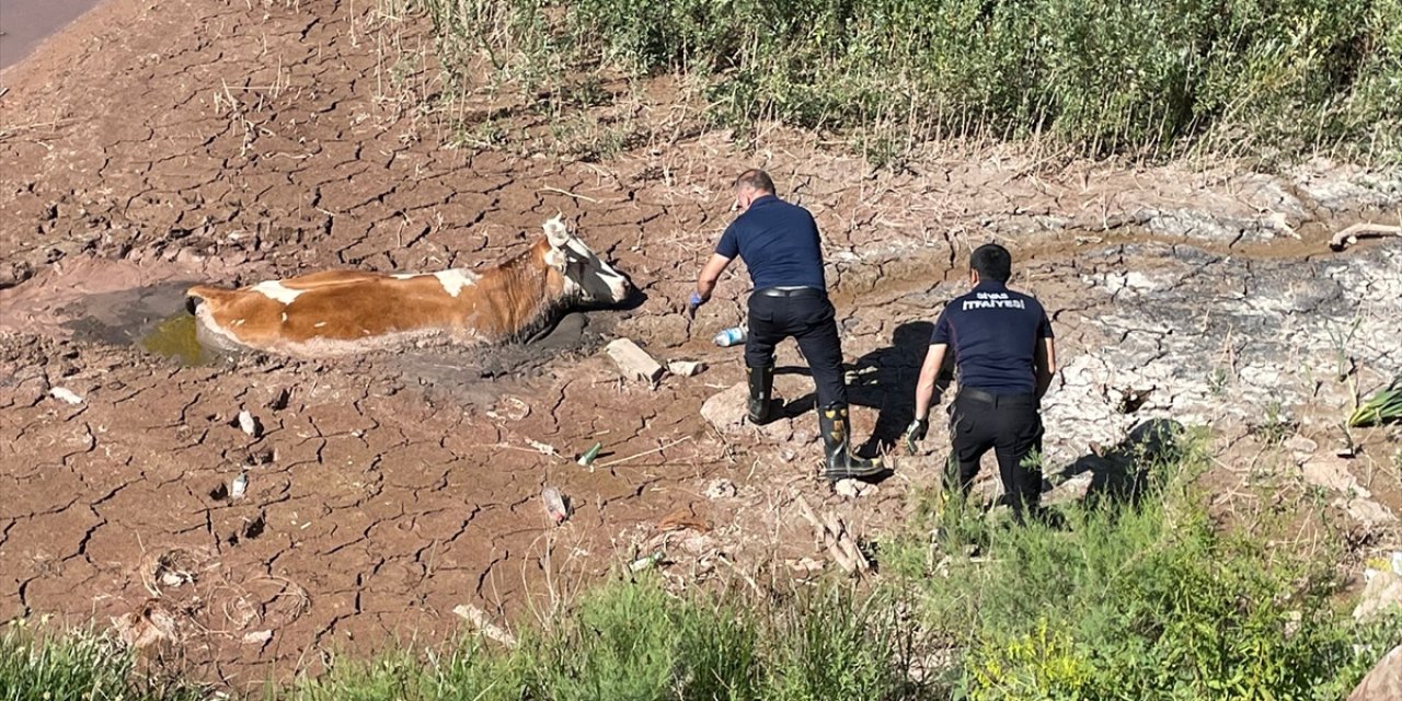 Sivas'ta çamurda mahsur kalan ineği itfaiye ekipleri kurtardı