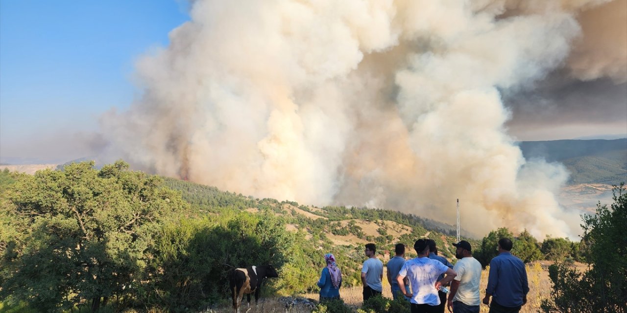 Bursa-Balıkesir il sınırında ormanlık alanda etkili olan yangına müdahale ediliyor