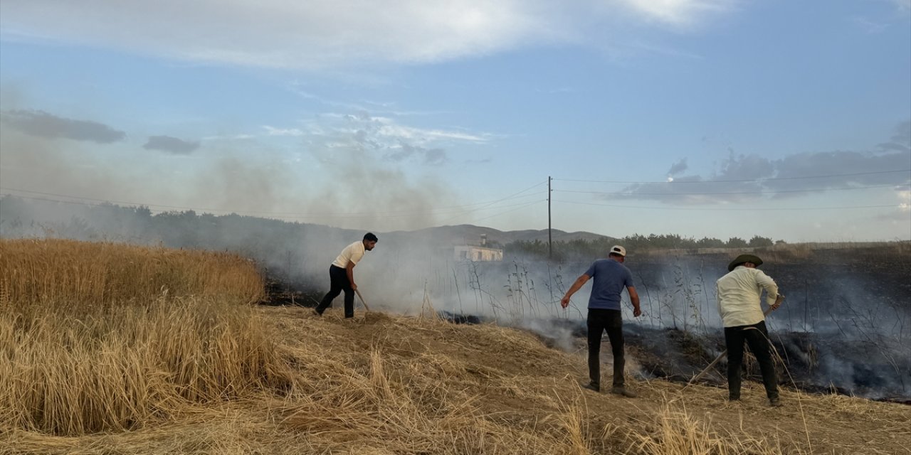 Malatya'da 10 dönüm buğday ekili alan yandı