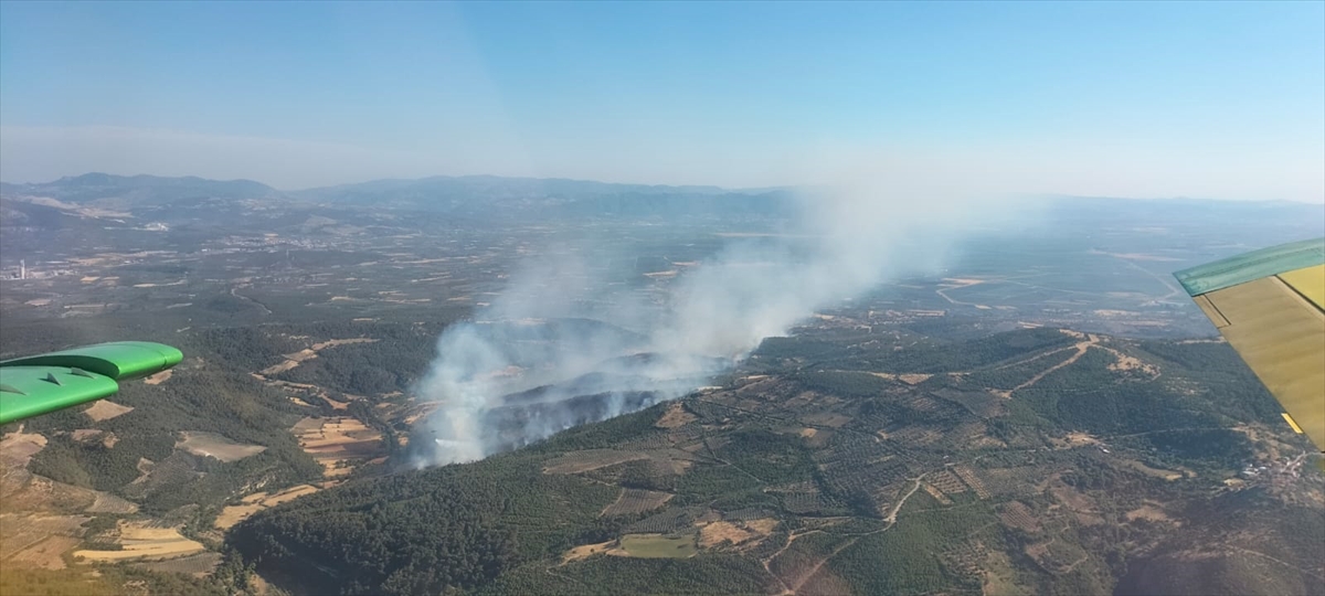 GÜNCELLEME - İzmir'in Bergama ilçesinde çıkan orman yangınına müdahale ediliyor