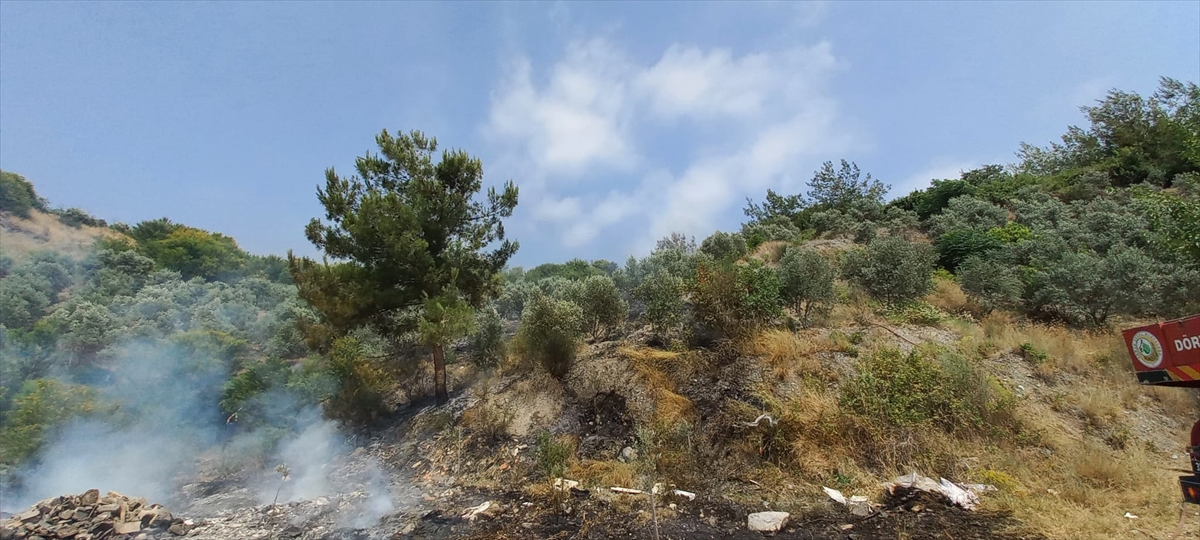 Hatay'da otluk ve ağaçlık alanda çıkan yangın söndürüldü