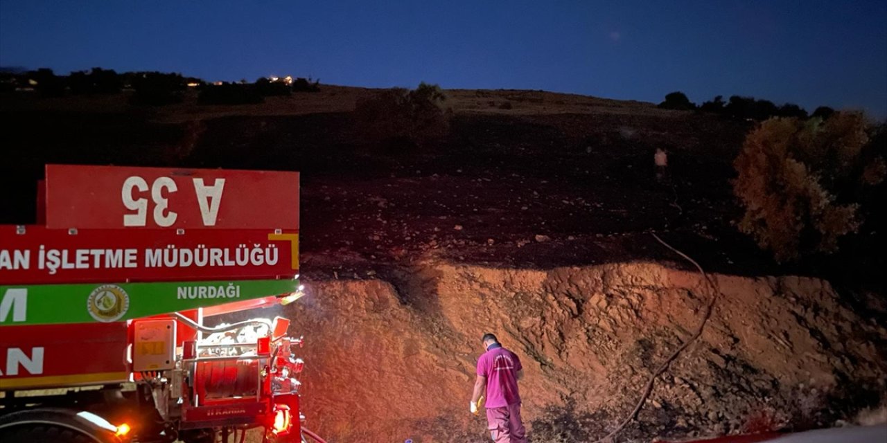 Kahramanmaraş'ta çıkan yangında 10 hektar makilik alan zarar gördü