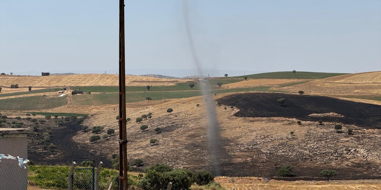 Anız yangınından etkilenen Diyarbakır'daki kırsal mahallede hortum oluştu