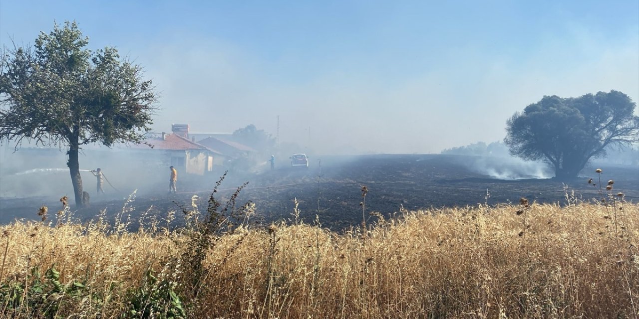 GÜNCELLEME - Balıkesir'de arazide çıkıp ormana sıçrayan yangın kontrol altına alındı