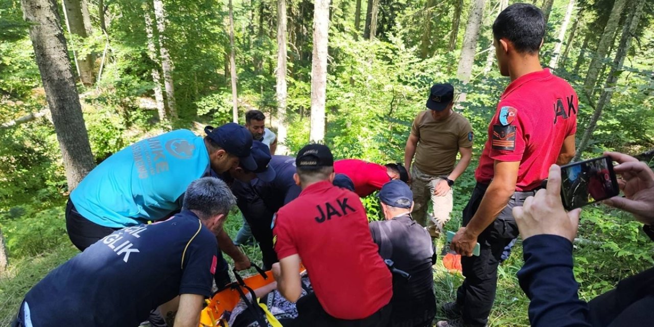 Kastamonu'da 8 gün önce kaybolan kadın baygın halde bulundu