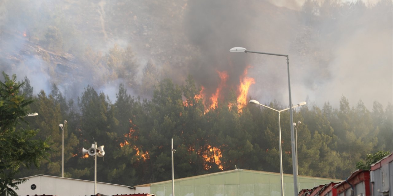 Gaziantep'te ormanlık alanda çıkarak barınma merkezine sıçrayan yangına müdahale ediliyor