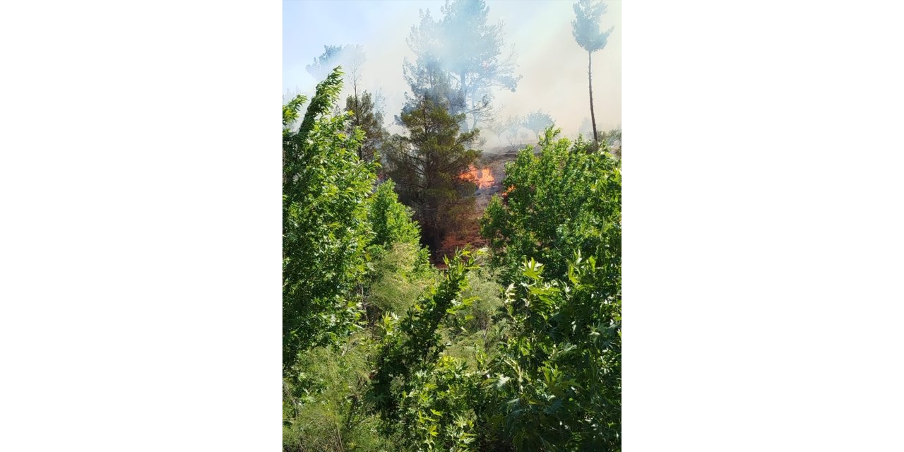 Mersin Mut'ta çıkan orman yangını kontrol altına alındı